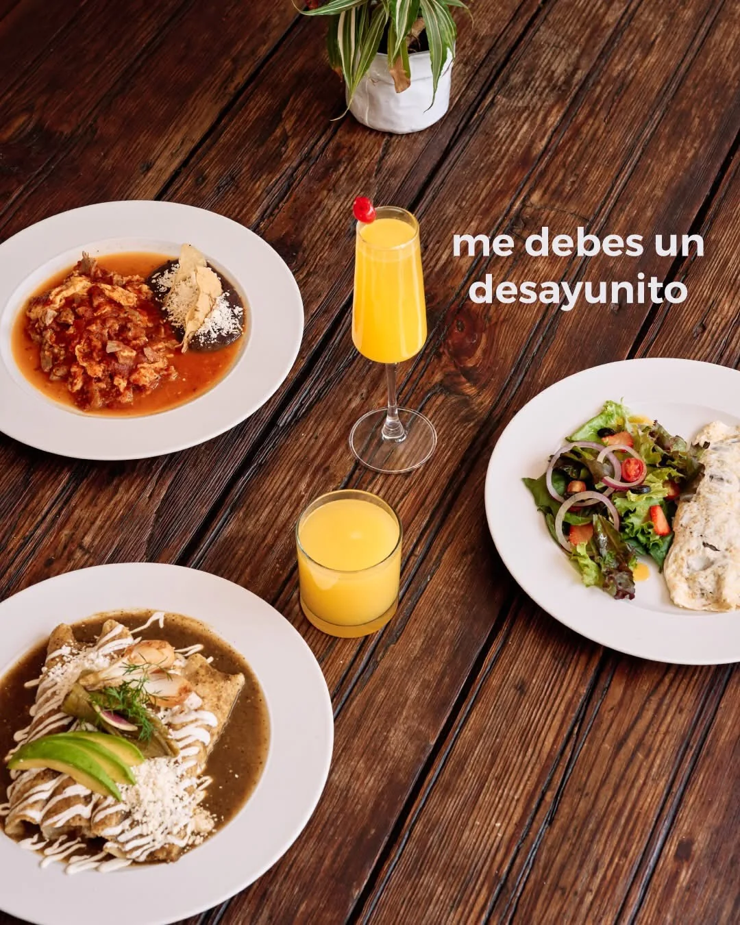 Mesa con distintos desayunos mexicanos